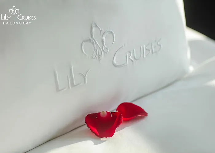 Lily Cruise Ha Long